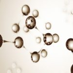 The Future of Digital Marketing: A Guide for Students in Andheri