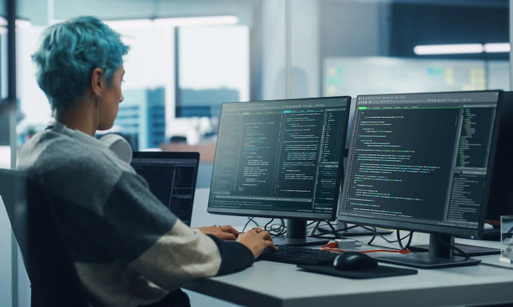 Choosing the Best Course on Artificial Intelligence for a Career Switch